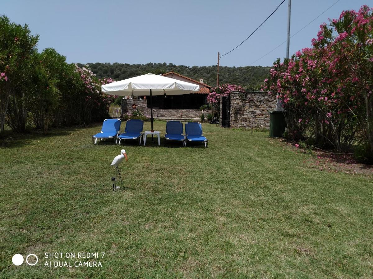 Ammouliani Villa Paradise エクステリア 写真